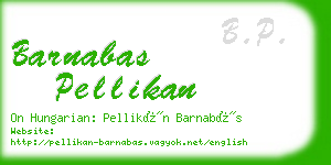 barnabas pellikan business card